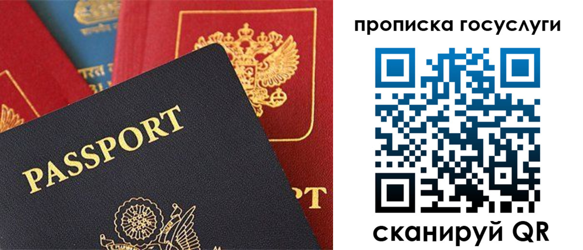 где прописаться в Ленинградской области